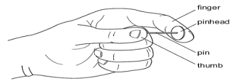 558_Finger and thumb.png